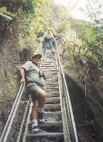Blue Mountains 2.jpg  558x768  106 KB